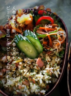 ̂ٓ́AlQ̗tՂuс